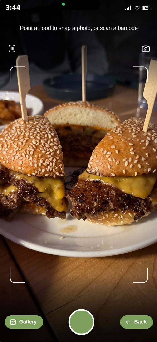Camera viewfinder over a burger plate